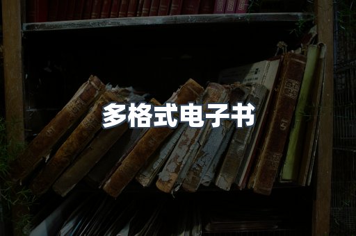 多格式电子书